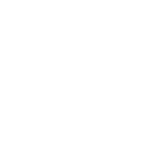 Fialdini